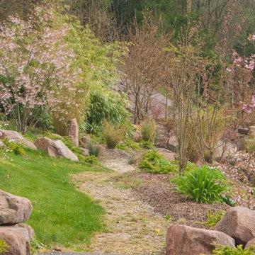 Etang jardin japonais