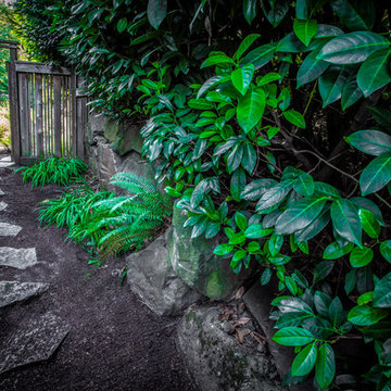 Slab Steps