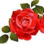Foto de Vallee Rose