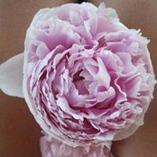 Nicole Grace's photo
