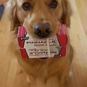 Debra Bourgeois's photo