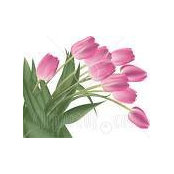 Sandy Wood's photo