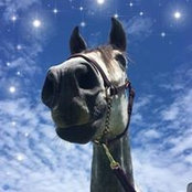 Lucie Evans's photo