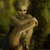 Joyce Gulick's photo