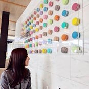 Kar's photo