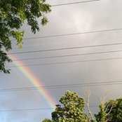 Brenda Leardi's photo