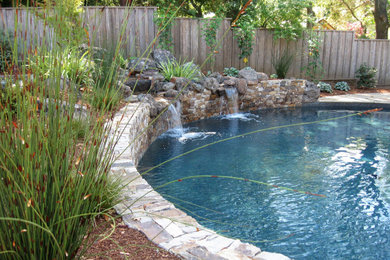 Elegant custom-shaped pool landscaping photo in San Francisco