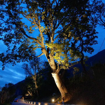 OUTDOOR LIGHT