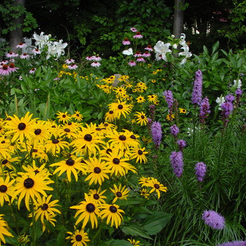 Black-eyed Susans and Blazing Star
