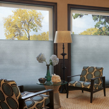 Honeycomb Shades - Applause & Duette Hunter Douglas Collections