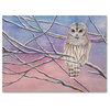 Michelle Faber 'Snowy Barred Owl' Canvas Art, 19x14