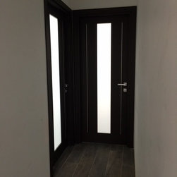 Modern Swing Door with Laminate Insert in Wenge Finish - Interior Doors