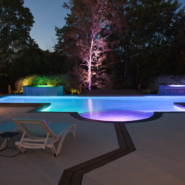 Modern Contemporay Landscape & Pool
