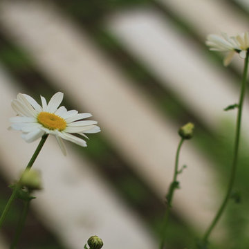 Rénovation d'un jardin en "U"