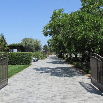 Classsic Cobble