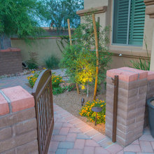 Back Yard Redo
