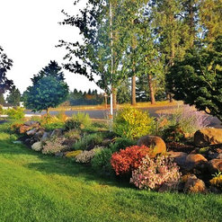 Rain Garden Nursery Landscapemakeoverdesignstaging Rain Garden Nursery Landscapemakeoverdesignstaging