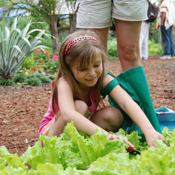 Miami Landscape Design Ideas