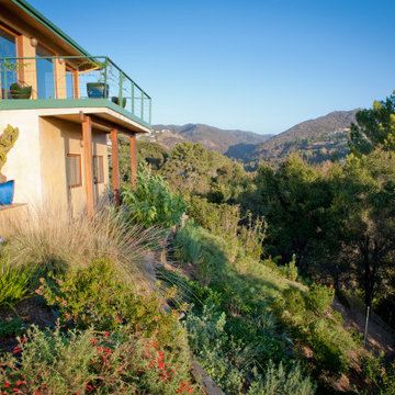 Native Foliage Protects Slope