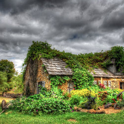 Ivy Covered Cottage - Artwork