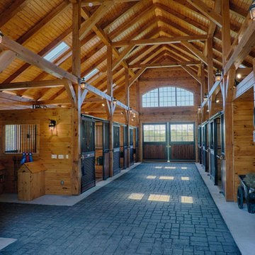 Assorted Equine Facilities