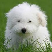 Justin Juneau's photo