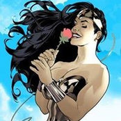 Wild Rose's photo