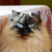 Paula Foley's photo