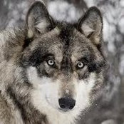 Barb Radcliffe's photo