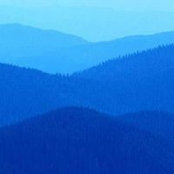 Kate Mckillop's photo