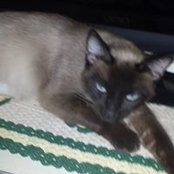 Kathleen Carroll Stanforth's photo