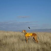 Christine Lewis's photo