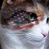 Linda Kilbride's photo
