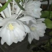 Jane Martin's photo