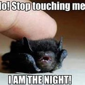 Mary Holliday's photo