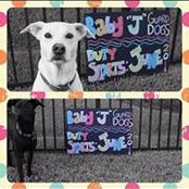 Ashley Johnson's photo