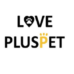 LOVEPLUSPET Offers The Best Dog Hip Brace For Sale