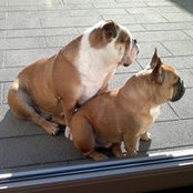 Guido Aerts's photo