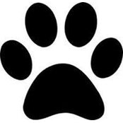 Pam Hupp's photo
