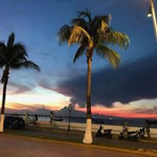 Tim Cain's photo