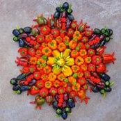 Kelly Kienle's photo