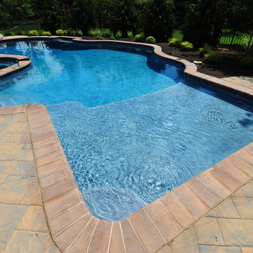 Freeform Pool & Covered Porch