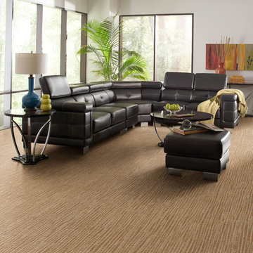 Carpet, Tile and Flooring
