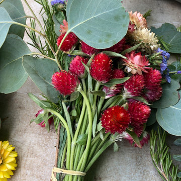 Home Garden