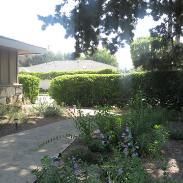 Earth Friendly Santa Ana Garden