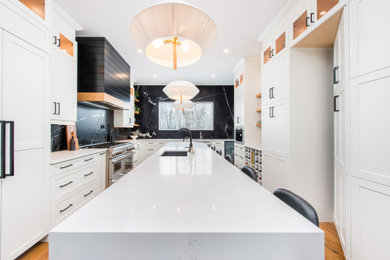 Kitchen - contemporary kitchen idea in Edmonton