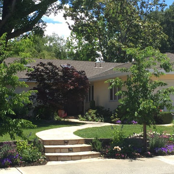 Entry path with flagstone