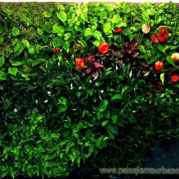 Jardín vertical en estudio de pilates de Alicante