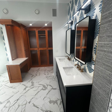 Carol Stream Master Bathroom