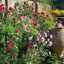 Idea for planting
